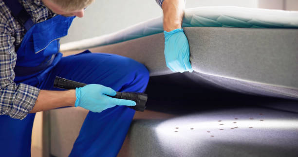 Best Wasp Removal Services  in Fountainebleau, FL