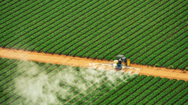 Pest Prevention Services in Fountainebleau, FL