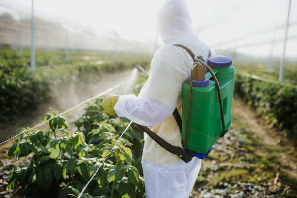 Best Flea Control Services  in Fountainebleau, FL